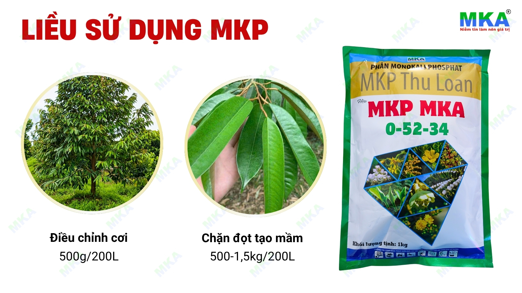 Hướng dẫn sử dụng Phân MKP MKA 0-52-34 để chặn đọt